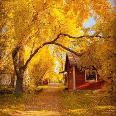 Profile Picture of asim zubair (@asimzub55265040) on Twitter