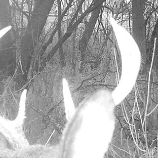 Profile Picture of Joseph Wieneke (@joseph.wieneke) on Facebook