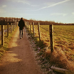 Profile Picture of Janik Scheuring (@jms.91) on Flickr