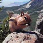 Profile Picture of Jeff Clemens (@jeffclemensrealestate) on Instagram