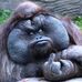 Profile Picture of Kevin Neal (@kevin.neal.969300) on Facebook