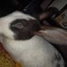 Profile Picture of Atul Kashyap (@kashyap.atul.9) on Facebook
