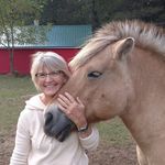 Profile Picture of Sue Lindsay Stack (@stack.sue) on Instagram