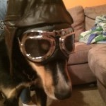 Profile Picture of Eric Overall (@dr.knockers69) on Instagram