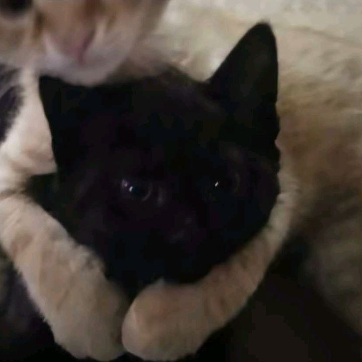 Profile Picture of änđřęẅ.5 (@andrew.james.rich0) on Tiktok