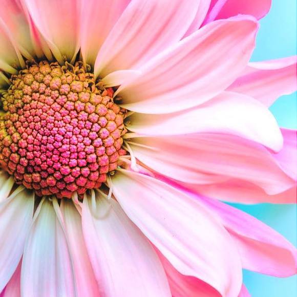 Profile Picture of Joyce Glahn (@joyceglahn) on Poshmark