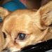 Profile Picture of Gerry Mcdougall (@gerry.mcdougall.71) on Facebook