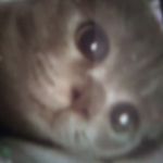 Profile Picture of Ivy Glick (@ivy.glick) on Instagram