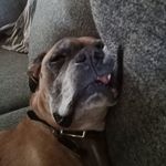 Profile Picture of Ben Pierson (@flyingboltben) on Instagram