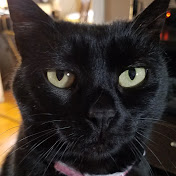 Jeff Beaudry - Youtube Profile Picture of Jeff Beaudry (@money4potato) on Youtube