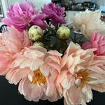 Pamela Toman - Instagram Profile Picture of Pamela Toman (@pamela.toman) on Instagram