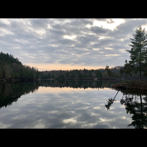 Profile Picture of Anne-marie Roberge (@amrob649) on Poshmark