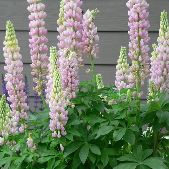 Joyce Edye - Poshmark Profile Picture of Joyce Edye (@joyceedye) on Poshmark