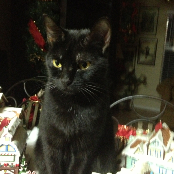 Profile Picture of Rita Tyler-aguilar (@ritylag) on Poshmark