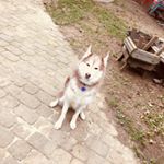 Profile Picture of Reba Palmer (@reba_palmer) on Instagram