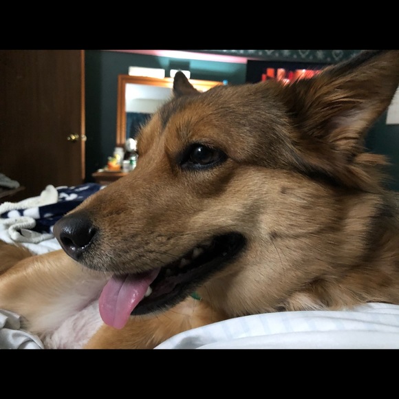 Profile Picture of Matt Dittman (@mdittman) on Poshmark