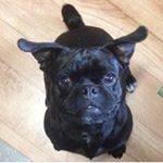 Profile Picture of Jeremy Dwyer (@dipdwyer) on Instagram