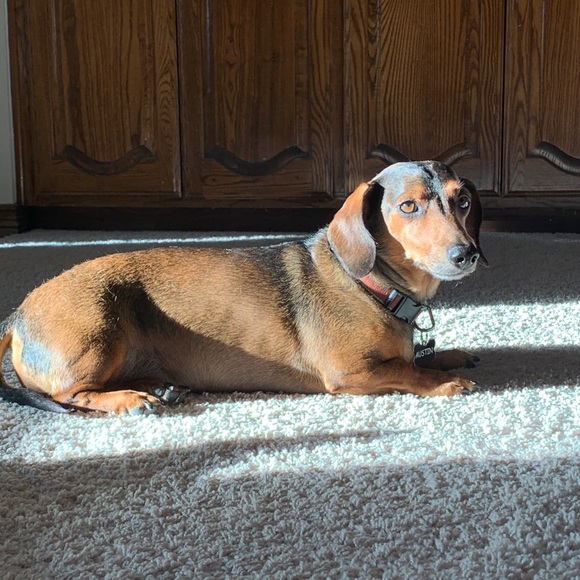 Profile Picture of Yoko St. peter (@yokoyamamoto) on Poshmark