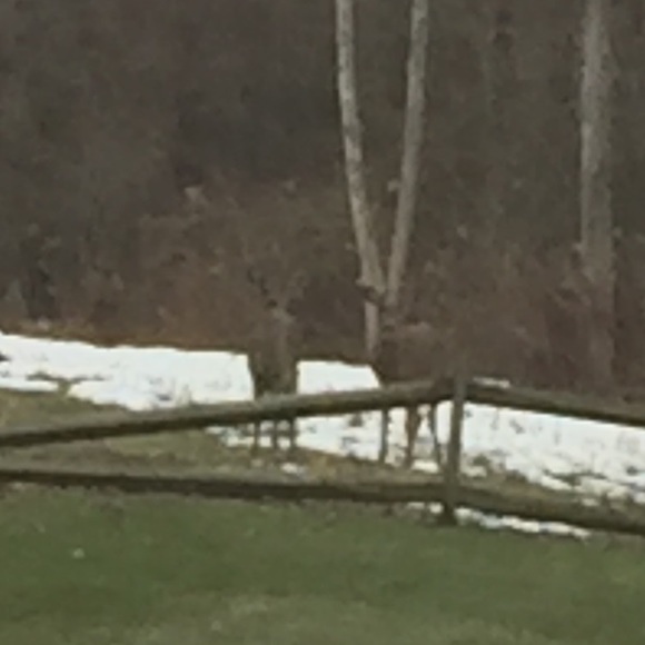 Profile Picture of Jimmy Black (@jimmyblackyoyo) on Poshmark