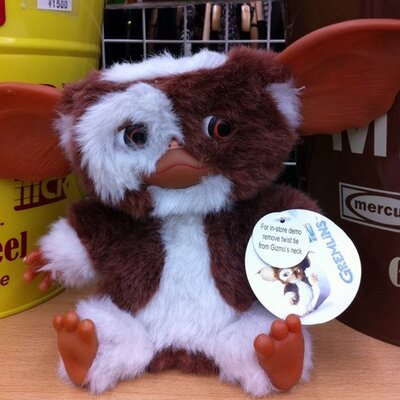 Profile Picture of Leon01 (@leonroy0000) on Twitter