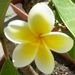 Profile Picture of Carolyn Boyd Walker (@beary58) on Pinterest