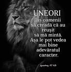 Profile Picture of Kevin Bosul (@Kevin-Bosul) on Facebook