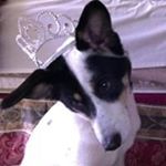 Profile Picture of Nancy Thompson (@nancy.thompson01) on Instagram