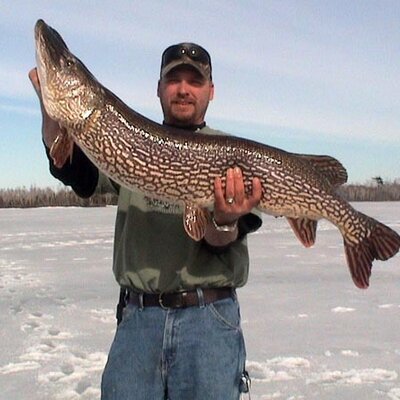 David Peluso - Twitter Profile Picture of David Peluso (@dmp_fishing) on Twitter