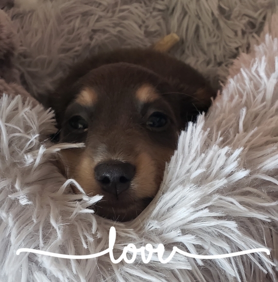 Profile Picture of Sherry Cavanaugh fee (@sherrycavanaugh) on Poshmark