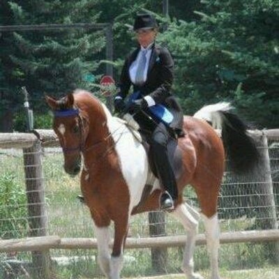 Profile Picture of Stacey McQuade (@StaceyMcQuade) on Twitter