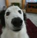 Profile Picture of Matthew Garrod (@matthew.garrod.3) on Facebook