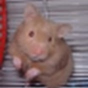 Profile Picture of Mike Lafferty (@mlalafferty) on Youtube