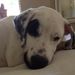 Profile Picture of Alex Castrillo (@ajc11j) on Pinterest