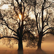 Profile Picture of Amanda Haddock (@amandahaddock9705) on Youtube