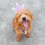 Profile Picture of Doug Hulsey (@axtonfarley) on Instagram