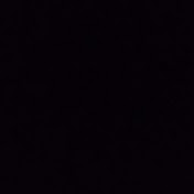 Profile Picture of Barry Best (@barrybest5089) on Youtube