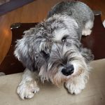 Profile Picture of Danny Whaley (@action_jackson9001_) on Instagram