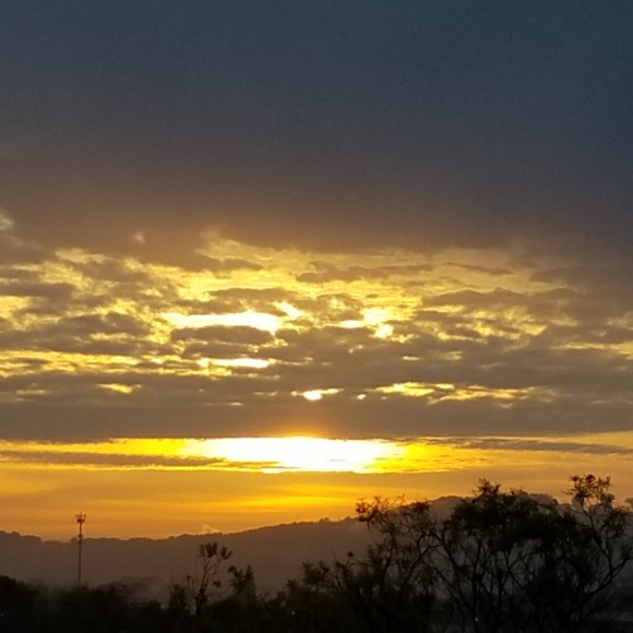 Profile Picture of Eric Emmich (@hillbillyalpha) on Poshmark