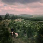 Profile Picture of Caleb Hendry (@calebhendry) on Instagram