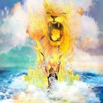 Profile Picture of Amanda Woodward (@amanda_ocelot) on Instagram