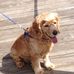 Profile Picture of Patsy Scruggs (@Patsy-Scruggs) on Facebook