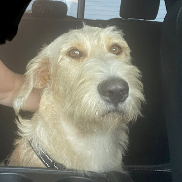 Profile Picture of Bradley Benter (@cowboy1458) on Poshmark