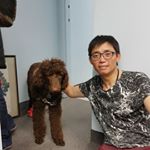 Profile Picture of Peter Tsoi (@peter.tsoi.31) on Instagram