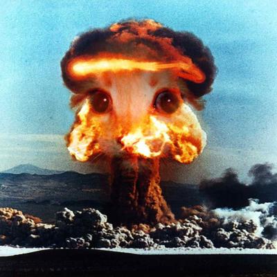 Profile Picture of Nick Leininger (@neleininger) on Twitter