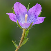 Varsha Chauhan 🥰🥰 - Youtube Profile Picture of Varsha Chauhan 🥰🥰 (@InnocentEspressoMachine-jr4bv) on Youtube