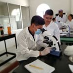 Gil Caballero 🐼 - Instagram Profile Picture of Gil Caballero 🐼 (@gil_0.7) on Instagram