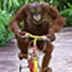 Profile Picture of Alex Moore (@[[ alex ]]) on Flickr
