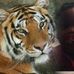 Profile Picture of Ernest Mickens (@ernest.mickens) on Facebook
