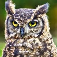 Profile Picture of Eddie Rasmussen (@teknikanten) on Twitter