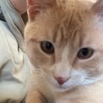 Profile Picture of Jeffrey Finstad (@jeffrey.finstad) on Facebook